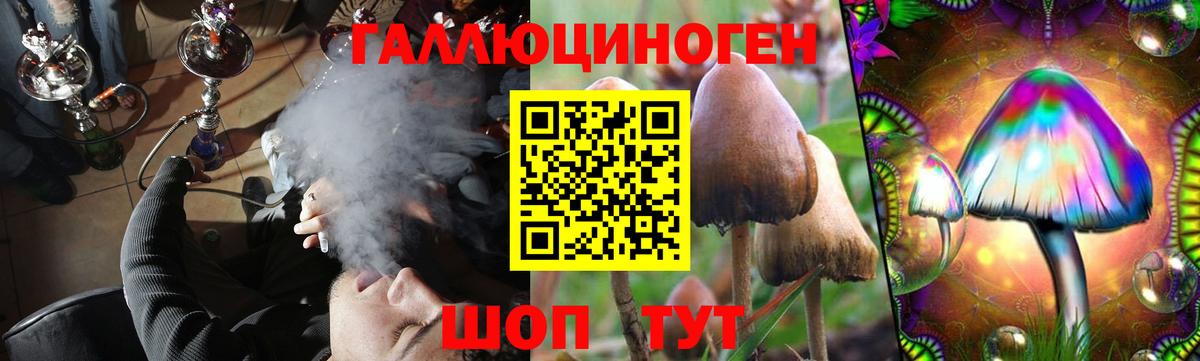 Псилоцибиновые грибы Cubensis Татарск
